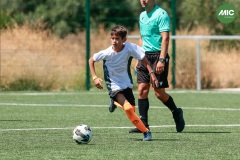 MIC7_26_DISMATI-100