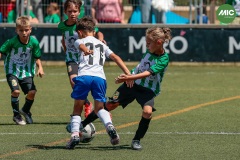 MIC7_26_DISMATI-110