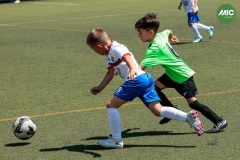 MIC7_26_DISMATI-120