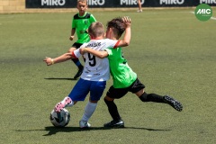 MIC7_26_DISMATI-121