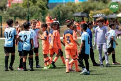 MIC7_26_DISMATI-157