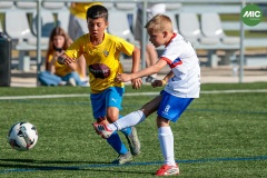 MIC7_26_DISMATI-16