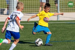 MIC7_26_DISMATI-18