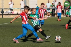 MIC7_26_DISMATI-26