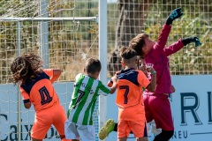 MIC7_26_DISMATI-44