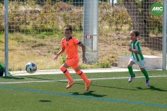 MIC7_26_DISMATI-45