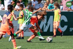 MIC7_26_DISMATI-46