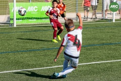 MIC7_26_DISMATI-5