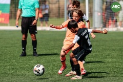MIC7_26_DISMATI-55