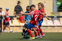 MIC7_26_DISMATI-72