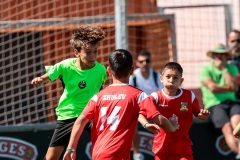 MIC7_26_DISMATI-78