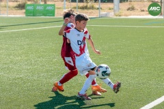 MIC7_26_DISMATI-8