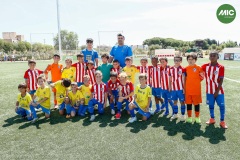 MIC7_26_DISMATI-96