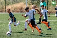 MIC7_26_DISMATI-98