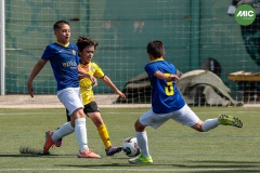 MIC7_26_DISTARDA-10