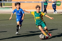 MIC7_26_DISTARDA-100