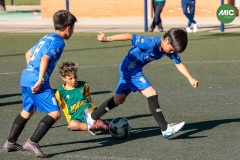 MIC7_26_DISTARDA-101