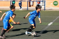 MIC7_26_DISTARDA-102