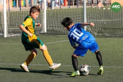 MIC7_26_DISTARDA-103
