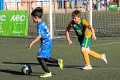 MIC7_26_DISTARDA-104
