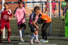 MIC7_26_DISTARDA-108