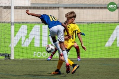 MIC7_26_DISTARDA-11