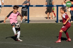 MIC7_26_DISTARDA-111