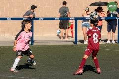 MIC7_26_DISTARDA-112