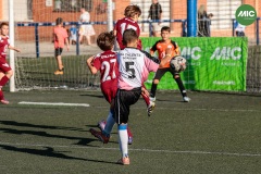 MIC7_26_DISTARDA-121