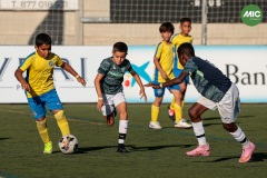 MIC7_26_DISTARDA-126
