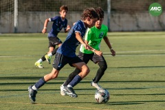 MIC7_26_DISTARDA-129