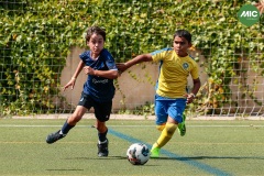 MIC7_26_DISTARDA-13