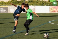 MIC7_26_DISTARDA-132