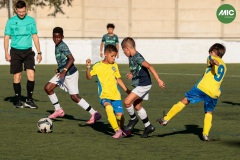 MIC7_26_DISTARDA-135