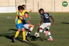 MIC7_26_DISTARDA-136