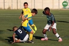 MIC7_26_DISTARDA-137