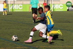 MIC7_26_DISTARDA-138