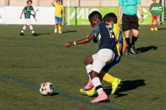 MIC7_26_DISTARDA-139