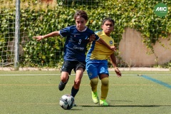 MIC7_26_DISTARDA-14