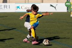 MIC7_26_DISTARDA-140