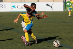 MIC7_26_DISTARDA-141