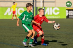 MIC7_26_DISTARDA-147