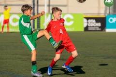 MIC7_26_DISTARDA-148