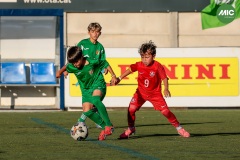 MIC7_26_DISTARDA-149