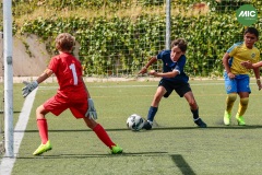MIC7_26_DISTARDA-15