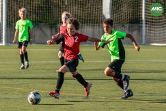 MIC7_26_DISTARDA-150