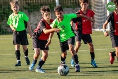 MIC7_26_DISTARDA-154