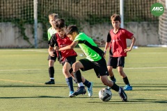 MIC7_26_DISTARDA-155