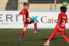 MIC7_26_DISTARDA-158