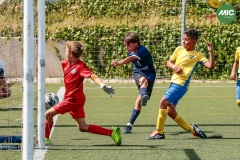 MIC7_26_DISTARDA-16